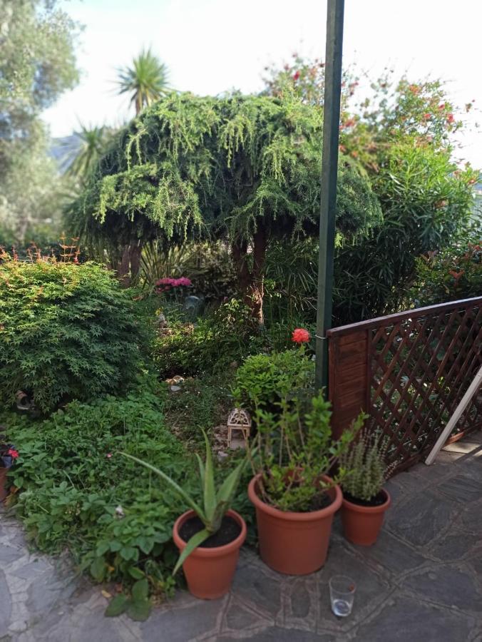 Il Glicine Cozy Appartamnent, Near Sestri Levante Between Cinque Terre E Portofino Casarza Ligure Exterior photo
