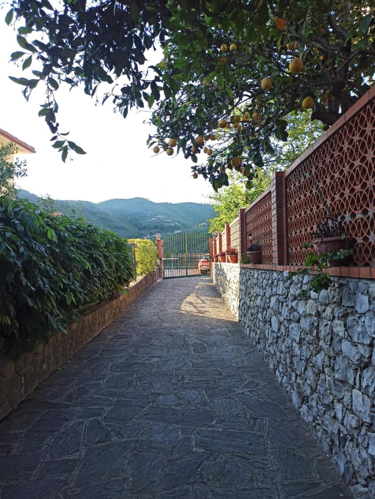 Il Glicine Cozy Appartamnent, Near Sestri Levante Between Cinque Terre E Portofino Casarza Ligure Exterior photo